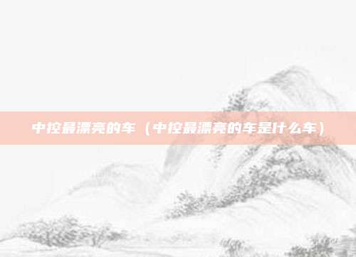 中控最漂亮的车（中控最漂亮的车是什么车）