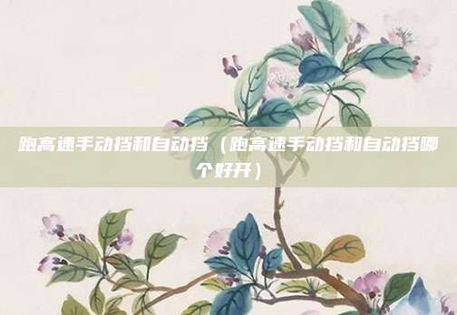 跑高速手动挡和自动挡（跑高速手动挡和自动挡哪个好开）