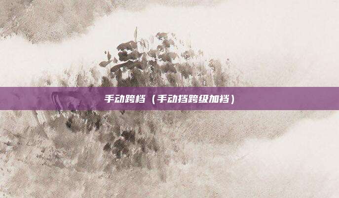 手动跨档（手动挡跨级加裆）