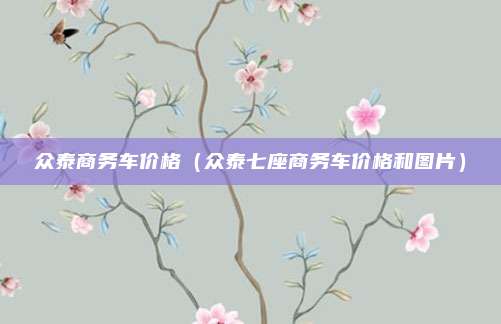 众泰商务车价格（众泰七座商务车价格和图片）
