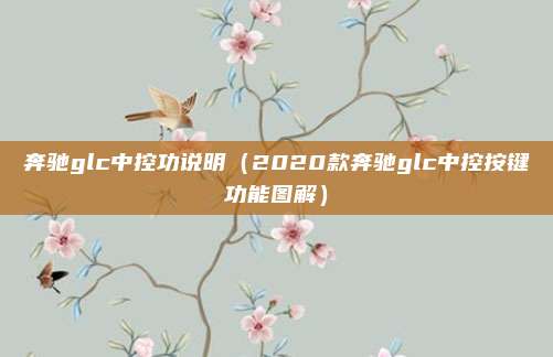 奔驰glc中控功说明（2020款奔驰glc中控按键功能图解）