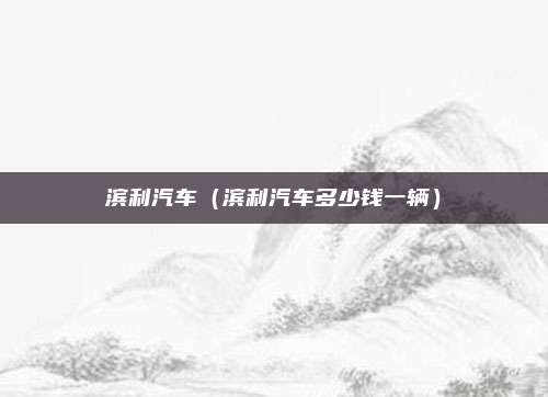 滨利汽车(滨利汽车多少钱一辆)
