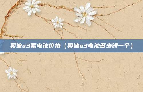 奥迪a3蓄电池价格(奥迪a3电池多少钱一个)