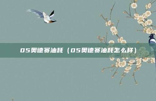 05奥德赛油耗(05奥德赛油耗怎么样)