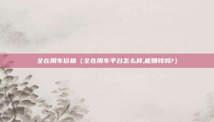 全在用车价格(全在用车平台怎么样,能赚钱吗?)