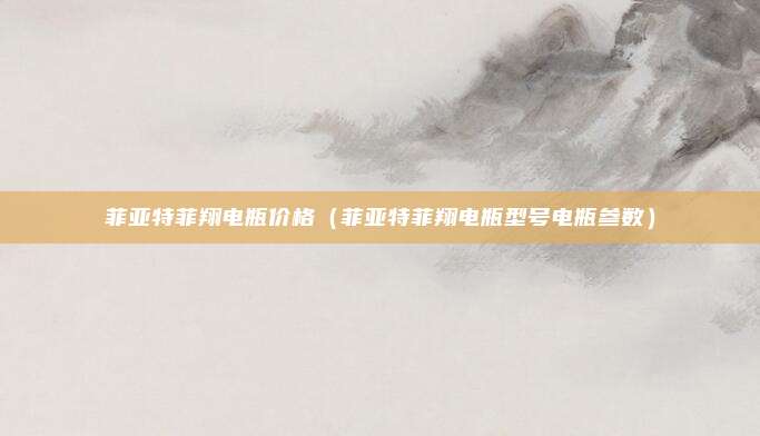 菲亚特菲翔电瓶价格(菲亚特菲翔电瓶型号电瓶参数)