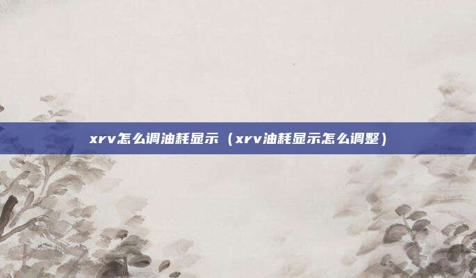 xrv怎么调油耗显示(xrv油耗显示怎么调整)