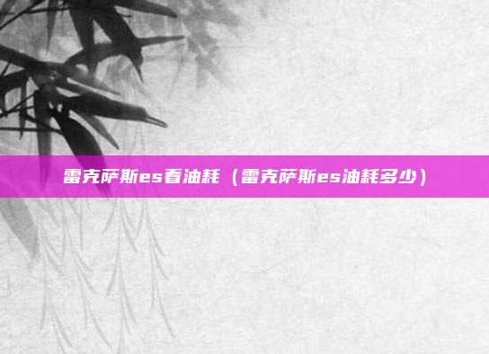 雷克萨斯es看油耗（雷克萨斯es油耗多少）
