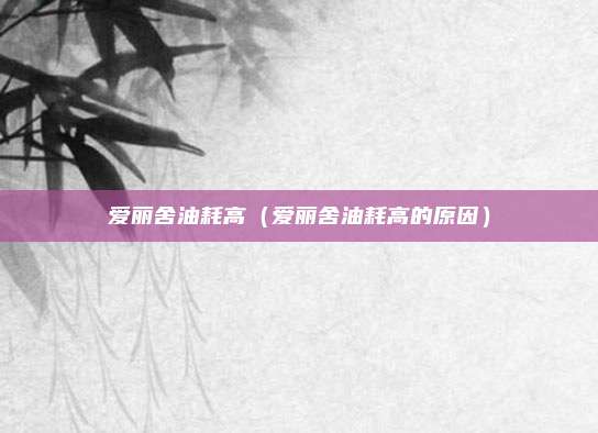 爱丽舍油耗高(爱丽舍油耗高的原因)