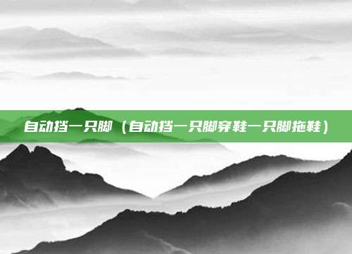 自动挡一只脚(自动挡一只脚穿鞋一只脚拖鞋)