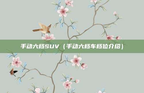 手动六档SUV（手动六档车档位介绍）