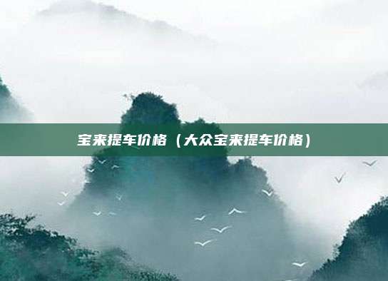 宝来提车价格(大众宝来提车价格)