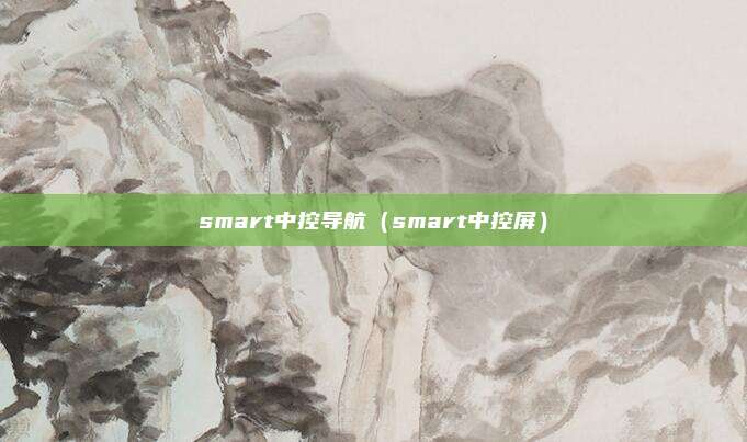 smart中控导航（smart中控屏）