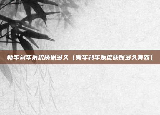 新车刹车系统质保多久（新车刹车系统质保多久有效）