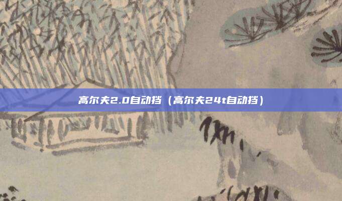 高尔夫2.0自动挡（高尔夫24t自动挡）