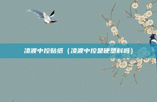 凌渡中控贴纸（凌渡中控是硬塑料吗）