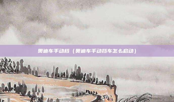 奥迪车手动档（奥迪车手动挡车怎么启动）