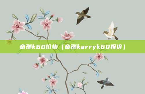 奇瑞k60价格（奇瑞karryk60报价）