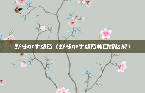 野马gt手动挡（野马gt手动挡和自动区别）