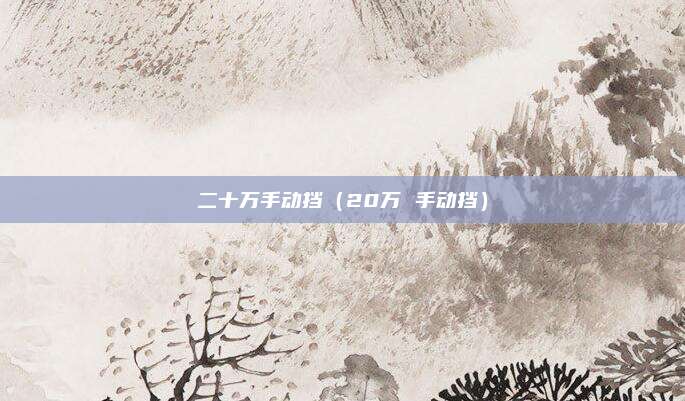 二十万手动挡(20万 手动挡)