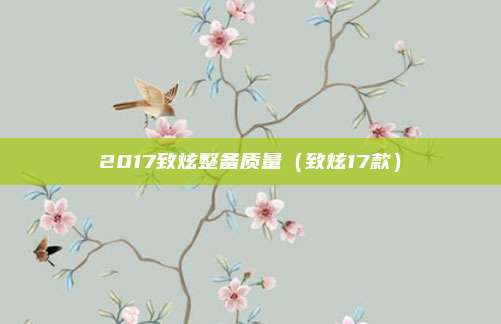 2017致炫整备质量（致炫17款）