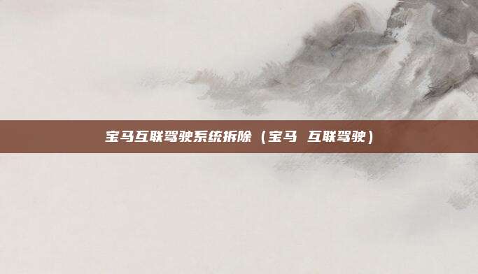 宝马互联驾驶系统拆除(宝马 互联驾驶)