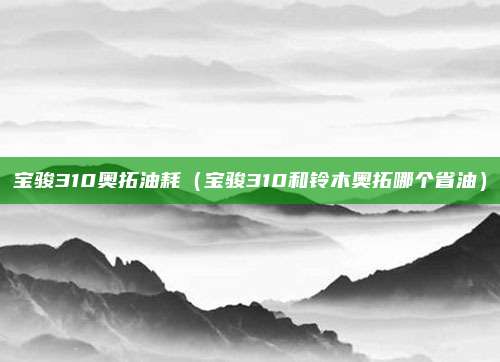 宝骏310奥拓油耗（宝骏310和铃木奥拓哪个省油）