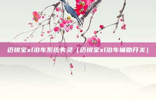 迈锐宝xl泊车系统失灵(迈锐宝xl泊车辅助开关)