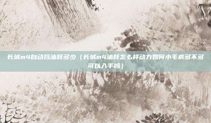 长城m4自动挡油耗多少(长城m4油耗怎么样动力如何小毛病多不多可以入手吗)