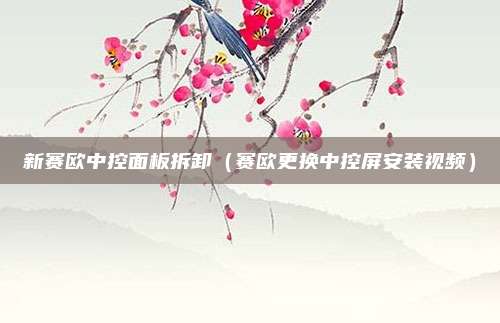 新赛欧中控面板拆卸(赛欧更换中控屏安装视频)