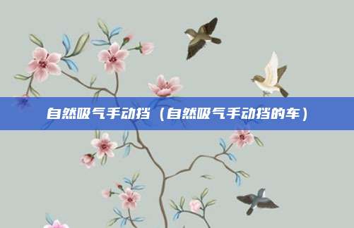 自然吸气手动挡(自然吸气手动挡的车)