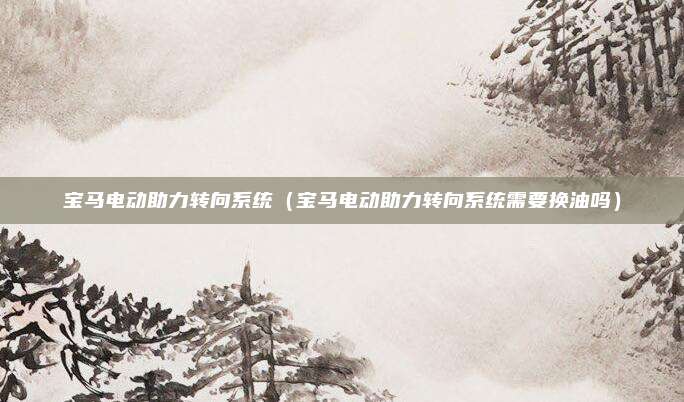 宝马电动助力转向系统（宝马电动助力转向系统需要换油吗）