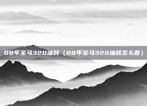 08年宝马320油耗（08年宝马320油耗怎么看）