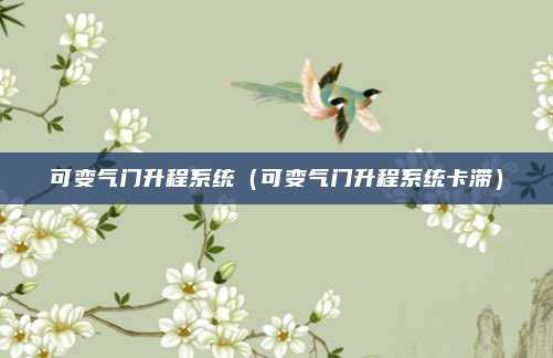 可变气门升程系统（可变气门升程系统卡滞）