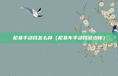 尼桑手动挡怎么样（尼桑车手动挡多少钱）