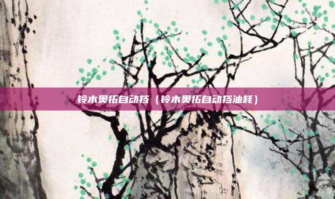 铃木奥拓自动挡（铃木奥拓自动挡油耗）