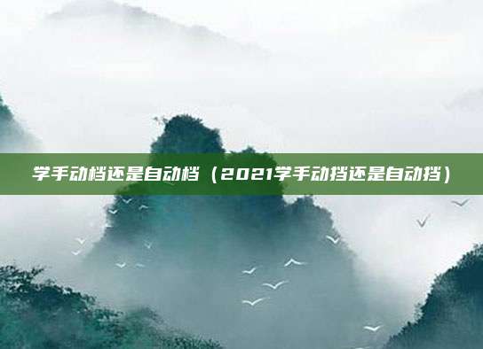 学手动档还是自动档（2021学手动挡还是自动挡）