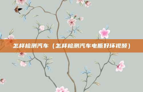 怎样检测汽车(怎样检测汽车电瓶好坏视频)