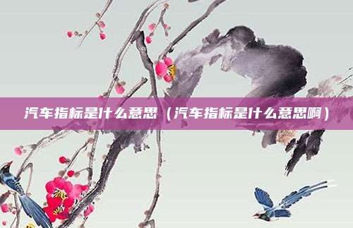 汽车指标是什么意思（汽车指标是什么意思啊）