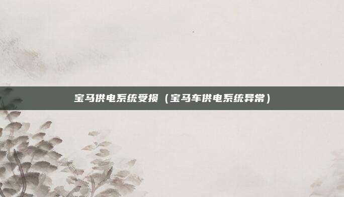 宝马供电系统受损(宝马车供电系统异常)