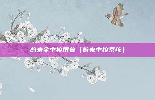 蔚来全中控屏幕（蔚来中控系统）