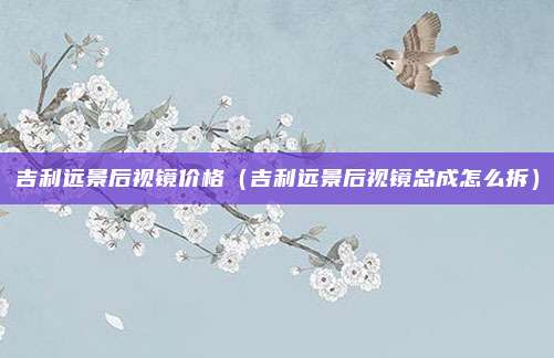 吉利远景后视镜价格（吉利远景后视镜总成怎么拆）