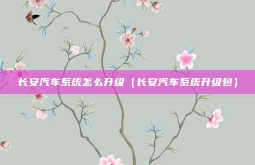 长安汽车系统怎么升级（长安汽车系统升级包）