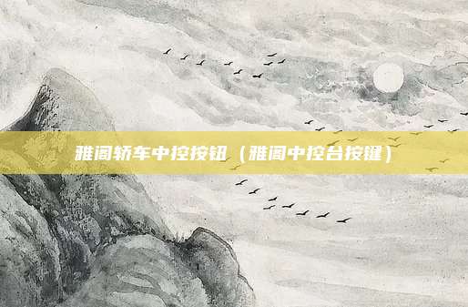 雅阁轿车中控按钮（雅阁中控台按键）