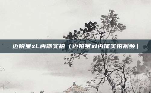 迈锐宝xL内饰实拍（迈锐宝xl内饰实拍视频）