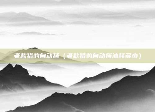 老款猎豹自动挡（老款猎豹自动挡油耗多少）