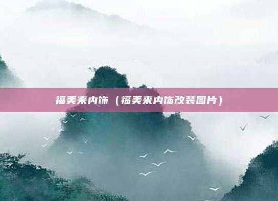 福美来内饰（福美来内饰改装图片）
