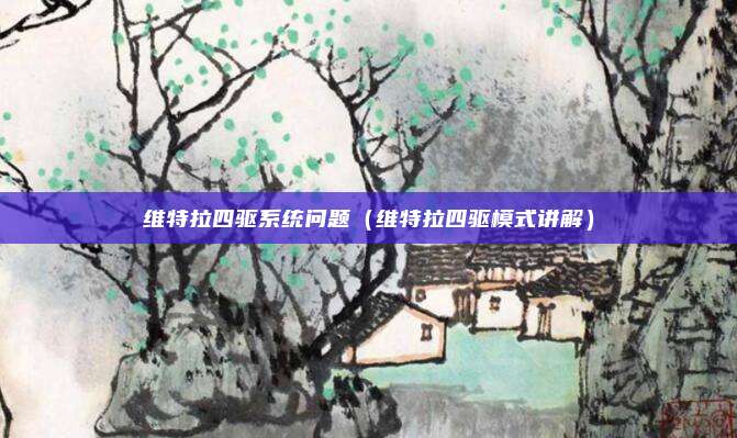 维特拉四驱系统问题（维特拉四驱模式讲解）