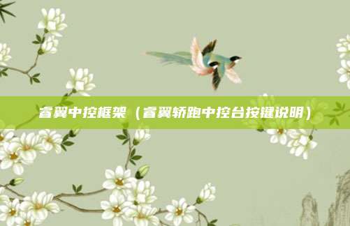 睿翼中控框架(睿翼轿跑中控台按键说明)