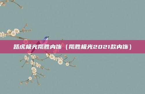 路虎极光揽胜内饰(揽胜极光2021款内饰)